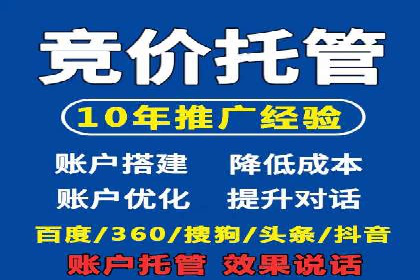 百度推广费用投入与用户转化路径的优化案例